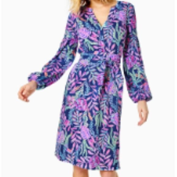 Lilly Pulitzer Kierna Dress Size XL - Picture 7 of 10